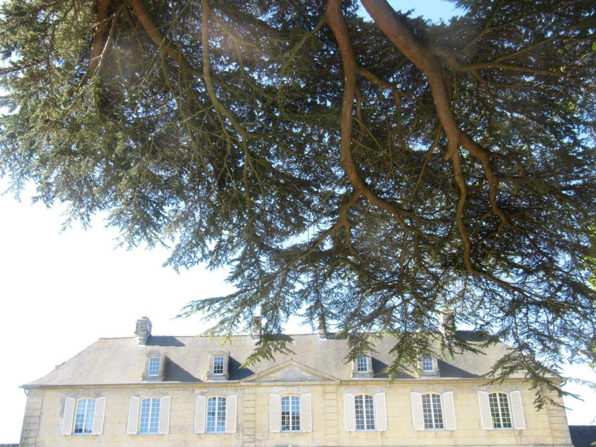Bed & Breakfast Chateau Les Cedres Bretteville-l'Orgueilleuse Екстер'єр фото